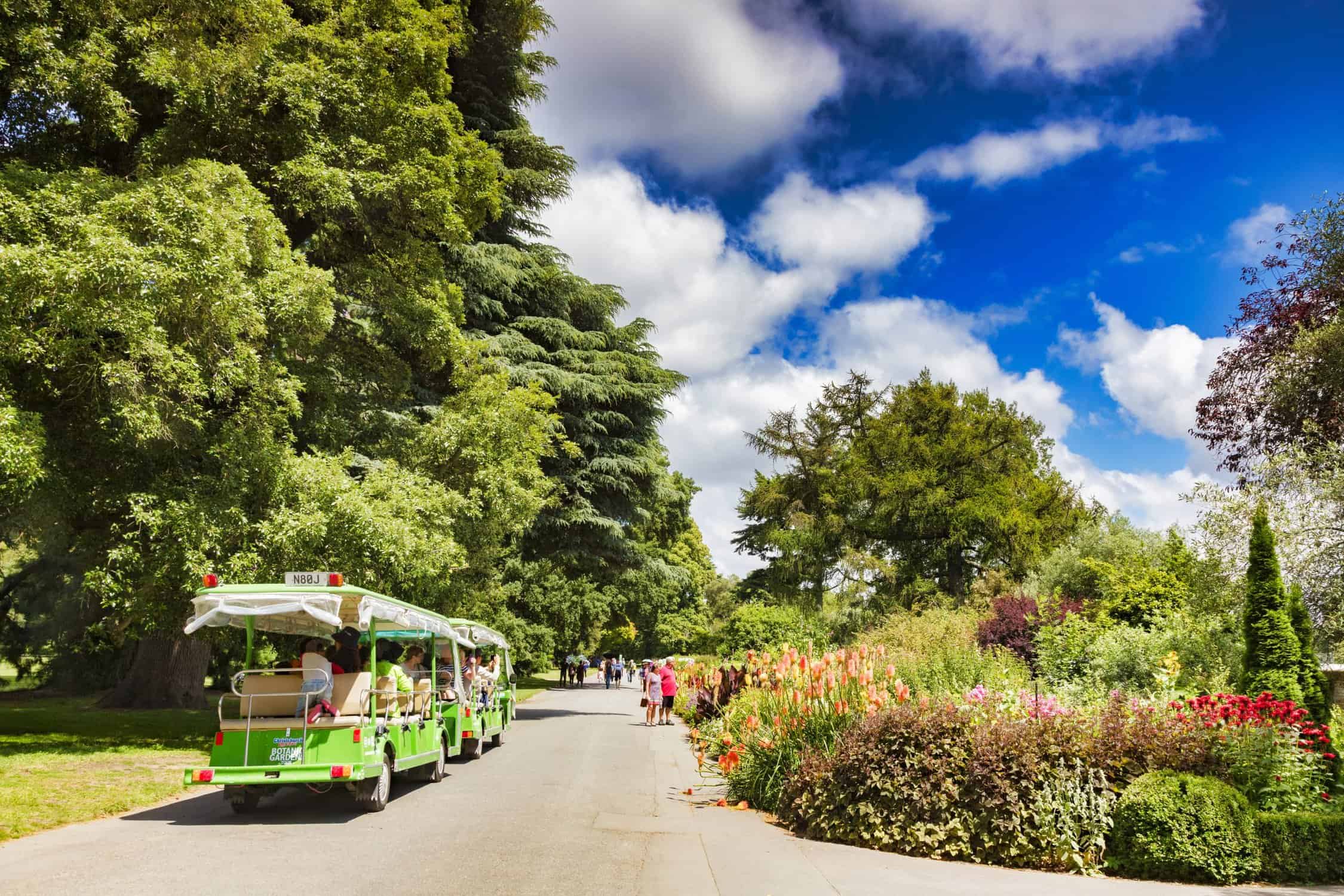 Flower beds and mature trees in the Christchurch Botanic Gardens